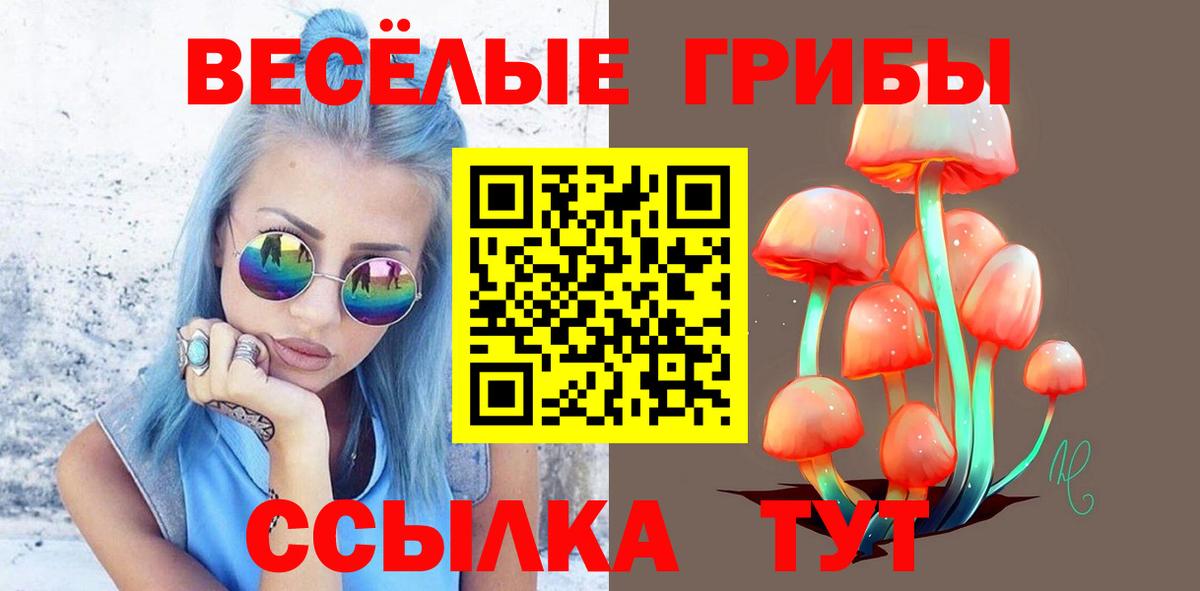 Псилоцибиновые грибы Psilocybine cubensis  Вход с VPN  Усть-Кут 